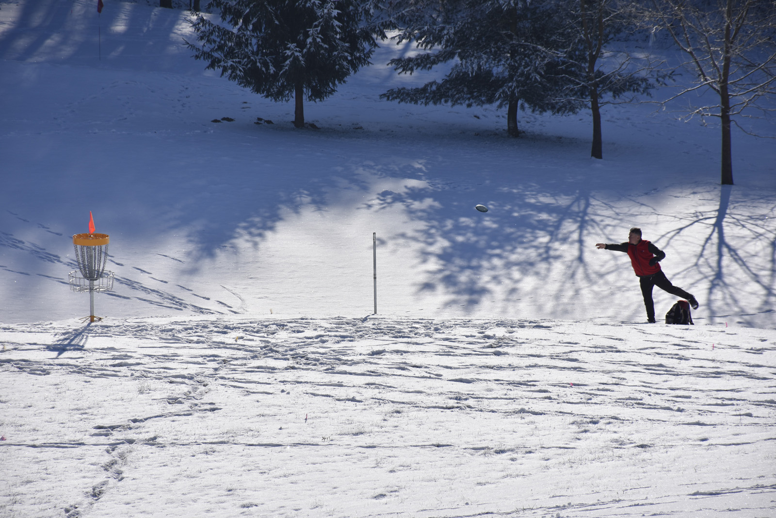 Disc golf